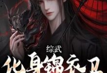 小说《综武：化身锦衣卫，摸尸护国》章节免费阅读-贝壳文学