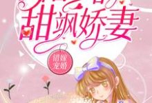 已完结小说《错嫁宠婚：褚少的甜飒娇妻》最新章节-贝壳文学