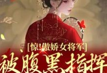惊!傲娇女将军被腹黑指挥使缠上了小说的免费阅读版本在哪里可以找到?-贝壳文学