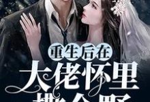重生后在大佬怀里撒个野免费阅读，重生后在大佬怀里撒个野章节在线阅读-贝壳文学
