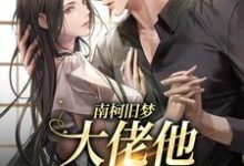 南柯旧梦:大佬他恋恋不忘小说的无弹窗阅读体验,寻找免费阅读网站-贝壳文学