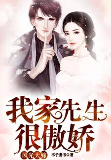 《风光大嫁：我家先生很傲娇》小说章节列表免费试读，温情顾夜白小说在线阅读
