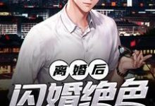 小说《离婚后,闪婚绝色女总裁》在线章节阅读-贝壳文学