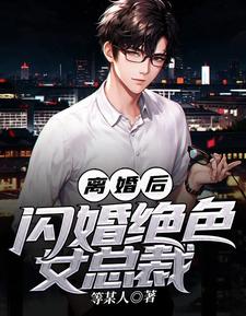 小说《离婚后，闪婚绝色女总裁》在线章节阅读