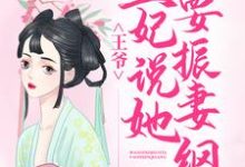 《王爷，王妃说她要振妻纲》小说章节在线试读，《王爷，王妃说她要振妻纲》最新章节目录-贝壳文学