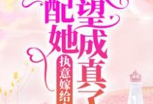 求推荐可以免费阅读执意嫁给乡里汉,女配她愿望成真了小说的网站-贝壳文学