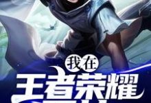 我在王者荣耀开挂小说完结了吗?在哪里可以免费读到?-贝壳文学