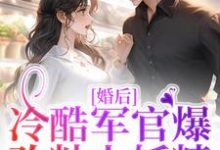 叶青沈烈是哪本书的主角?婚后,冷酷军官爆改粘人妖精免费读-贝壳文学
