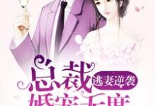 逃妻逆袭：总裁婚宠无度小说免费资源，逃妻逆袭：总裁婚宠无度在线阅读-贝壳文学