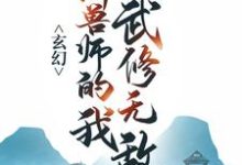 苏泽小说在哪里可以看-贝壳文学