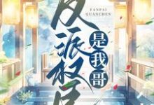 反派权臣是我哥齐妙沈韵安，反派权臣是我哥小说免费阅读-贝壳文学