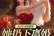 白月光回国,她扔下离婚协议离开小说,白月光回国,她扔下离婚协议离开章节在线阅读-贝壳文学