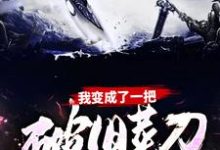 我变成了一把破旧菜刀这本小说怎么样？免费在线阅读试试-贝壳文学