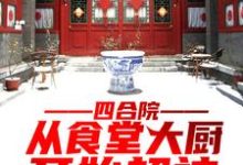 主人公叫何雨柱娄晓娥的小说四合院:从食堂大厨开始超神在线阅读章节-贝壳文学