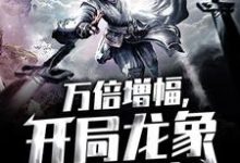 小说《万倍增幅，开局龙象镇狱劲》在线章节阅读-贝壳文学