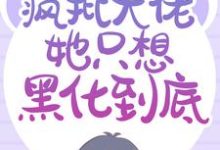 免费阅读时宁霍景琛宋云染傅书恒为主角的小说，重生后，疯批大佬她只想黑化到底在线看-贝壳文学