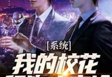 主角叫苏渊许安颜小说系统：我的校花舔狗太高冷章节免费阅读-贝壳文学