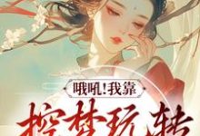 哦吼！我靠控梦玩转平行世界小说最新更新在哪里？免费在线看-贝壳文学