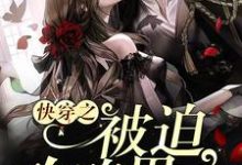 快穿之被迫攻略男主小说,快穿之被迫攻略男主唐苏苏陌-贝壳文学