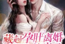 藏起孕肚离婚，总裁他失控疯了免费阅读，藏起孕肚离婚，总裁他失控疯了章节在线阅读-贝壳文学