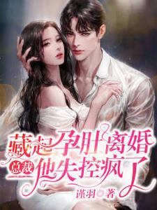 藏起孕肚离婚，总裁他失控疯了免费阅读，藏起孕肚离婚，总裁他失控疯了章节在线阅读