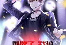 叶天李玲珑是哪本书的主角?寻找摊牌了,我被系统砸中了免费阅读-贝壳文学