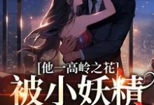他一高岭之花，被小妖精拿下了林幼宁顾淮琛，他一高岭之花，被小妖精拿下了在线无弹窗阅读-贝壳文学