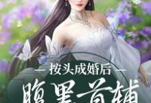 姜晚禾谢曜小说在哪里可以看-贝壳文学
