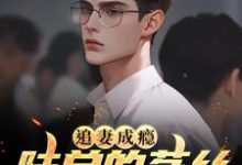追妻成瘾：陆总的菟丝花要离婚这本小说怎么样？免费在线阅读试试-贝壳文学