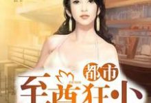 都市至尊狂少这本小说怎么样?免费在线阅读试试-贝壳文学