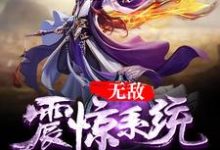 无敌震惊系统小说的免费阅读版本在哪里可以找到？-贝壳文学
