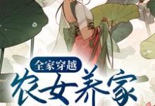主角叫丁宁瑞哥儿小说全家穿越:农女养家细水长流章节免费阅读-贝壳文学