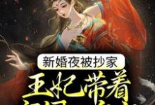 新婚夜被抄家,王妃带着空间入皇宫免费阅读,新婚夜被抄家,王妃带着空间入皇宫章节在线阅读-贝壳文学