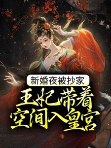 新婚夜被抄家，王妃带着空间入皇宫免费阅读，新婚夜被抄家，王妃带着空间入皇宫章节在线阅读