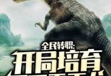 主人公叫张杨小格格的小说哪里免费看-贝壳文学