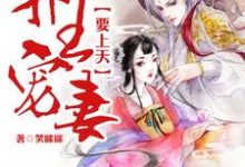 邪王宠妻要上天宋七七君凌夜凤决小说免费阅读-贝壳文学