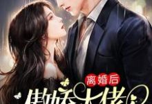 《离婚后，傲娇大佬日日缠着她》小说主角沈晚瓷薄荆舟章节章节免费在线阅读-贝壳文学