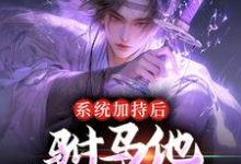 完结版《系统加持后,驸马他签到成仙了》章节阅读-贝壳文学