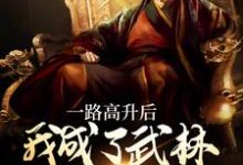 想读李乘风的故事，哪里可以免费找到一路高升后，我成了武林超级BOSS？-贝壳文学
