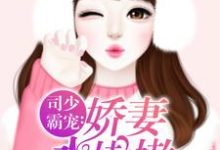 求司少霸宠：娇妻水嫩嫩小说免费资源-贝壳文学