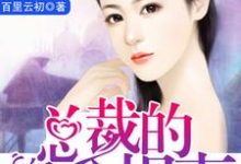 豪门暖婚:总裁的千金悍妻小说全文阅读需要付费吗?寻找免费资源-贝壳文学