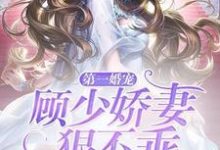 第一婚宠:顾少娇妻狠不乖小说有没有完结版在线?-贝壳文学