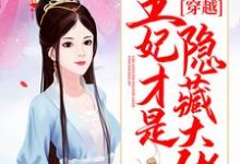 完结版《穿越：王妃才是隐藏大佬》章节阅读-贝壳文学