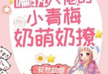 韩城野宁染小说叫什么(偏执大佬的小青梅奶萌奶撩免费阅读)-贝壳文学