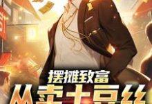 主角陈钧林瑶小说摆摊致富：从卖土豆丝开始暴富免费阅读-贝壳文学