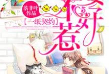 一纸契约:娇妻不好惹沈妙芙陆皓李曼凝小说免费阅读-贝壳文学