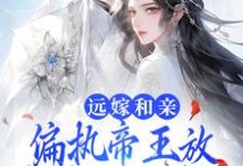 宋溶月景泽辰为主角的小说叫什么?免费看远嫁和亲,偏执帝王放不开公主的手-贝壳文学