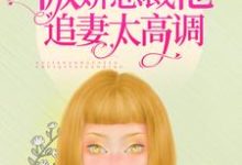 小说《囚爱成瘾：傲娇总裁他追妻太高调》在线章节阅读-贝壳文学