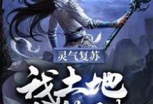 灵气复苏：我土地爷签到！林枫小说大结局免费试读-贝壳文学