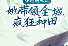 小说《穿越遇灾荒，她带领全城疯狂种田》章节阅读-贝壳文学